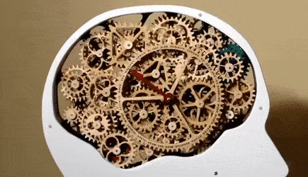 AnnualDistinctAzurevasesponge-size_restricted-1